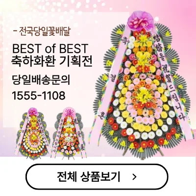꽃집 전국화환배송 승진화환 축하화환 졸업식