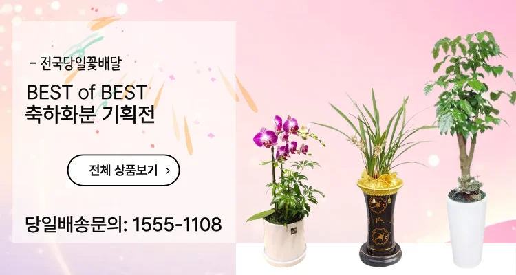꽃바구니배달 꽃집 꽃배달 전국꽃배달서비스 임신축하