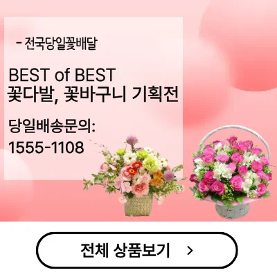 꽃바구니배달 꽃집 꽃배달 전국꽃배달서비스 임신축하