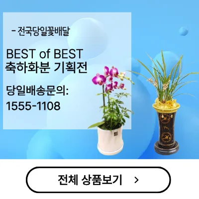 꽃바구니배달 꽃집 꽃배달 전국꽃배달서비스 임신축하