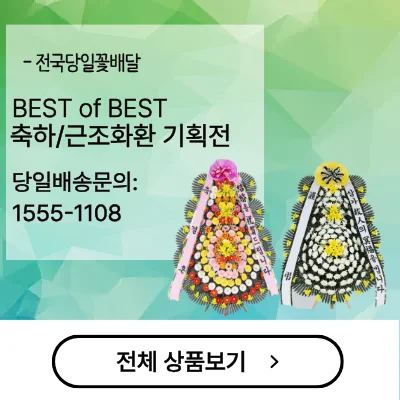 꽃바구니배달 꽃집 꽃배달 전국꽃배달서비스 임신축하