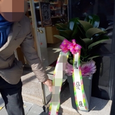 김해 축하화환 개업화환추천