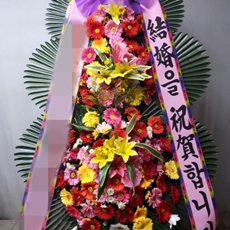 과천 축하화환 서양란