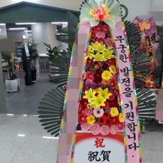 고양 일산동구 축하화환 축하화환가격