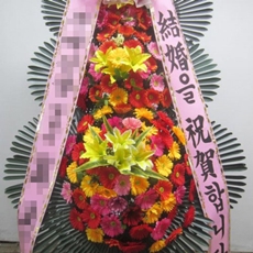시흥시 축하화환 서양란