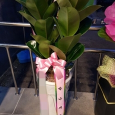 평택 꽃배달 당일꽃배달