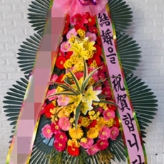 정선 꽃배달 빠른배송