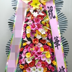 군포 축하화환 축하화환가격