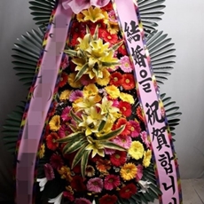 포천 축하화환 서양란