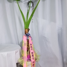 과천 축하화환 쌀화환