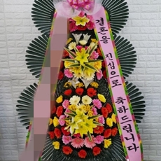 성남 분당구 축하화환 서양란