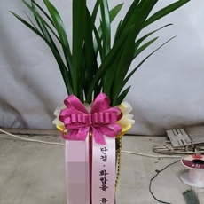 포천 꽃배달 전국꽃배달
