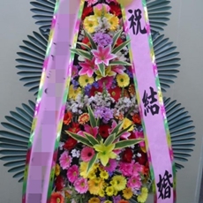 파주 축하화환 서양란