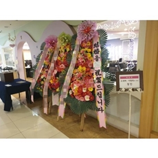 영월 꽃배달 꽃배달 당일배송