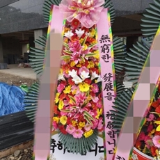 인제 꽃배달 당일꽃배달