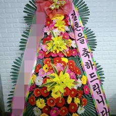 광주 축하화환 축하화환종류