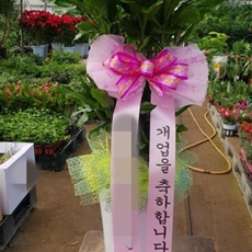 파주 꽃배달 생일꽃다발