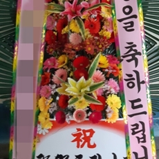 고양 덕양구 축하화환 리본화환