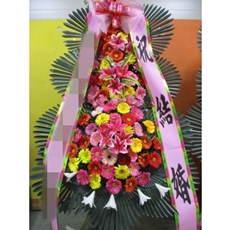 용인 기흥구 축하화환 축하화환가격