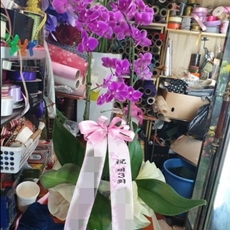 수원 영통구 축하화환 축하화환종류