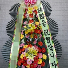 의정부 축하화환 축하화환당일배송