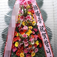 철원 꽃배달 전국꽃배달