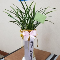 광주 축하화환 축하화환당일배송