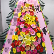 포천 꽃배달 생화배달