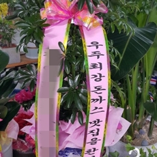 의왕 축하화환 축하화환가격