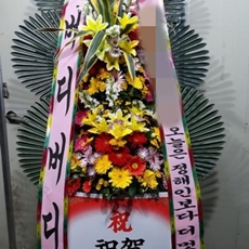 횡성 축하화환 전국배송