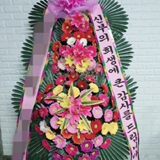 평택 꽃배달 꽃바구니배달