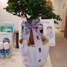 성남 분당구 축하화환 결혼식화환추천