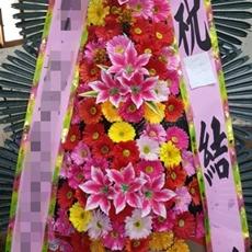 고양 덕양구 축하화환 축하화환종류