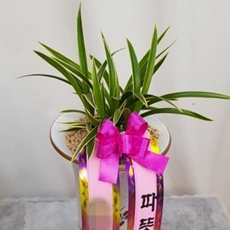 경기 축하화환 개업화환추천