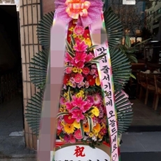 화성 동탄구 축하화환 서양란