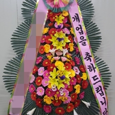 고양 덕양구 축하화환 리본화환