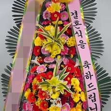 영월 꽃배달 생화배달