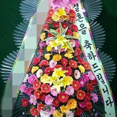 파주 꽃배달 생화배달