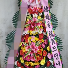 이천 축하화환 축하화환당일배송