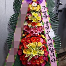파주 꽃배달 빠른배송