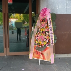 화성 동탄구 축하화환 서양란