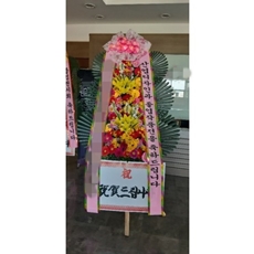 고양 일산서구 축하화환 축하화환가격