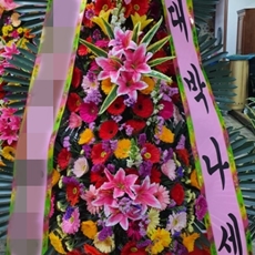 용인 기흥구 축하화환 서양란