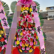연천 축하화환 축하화환가격