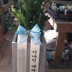파주 꽃배달 꽃바구니배달