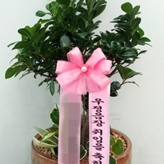 과천 축하화환 쌀화환