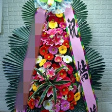 안성 축하화환 서양란