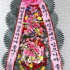 영월 꽃배달 꽃배달 당일배송