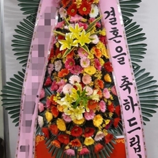 군포 축하화환 서양란