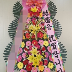 성남 수정구 축하화환 축하화환당일배송